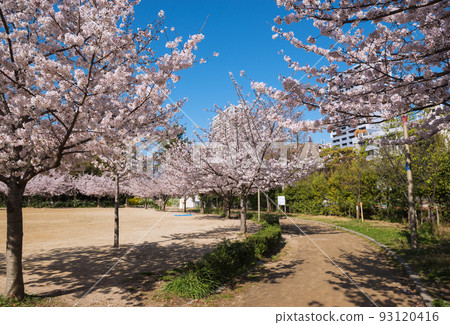 春天公園 93120416