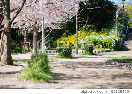 春天公園 93120429