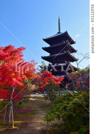 Kyoto in autumn Ninna-ji Temple in autumn leaves Kyoto in autumn Ninna-ji Temple in autumn leaves 93122058