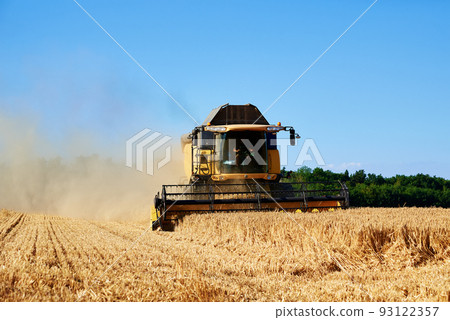 Combine harvester collecting golden wheat field, Harvesting machine working at agricultural field, Harvest reaping season 93122357