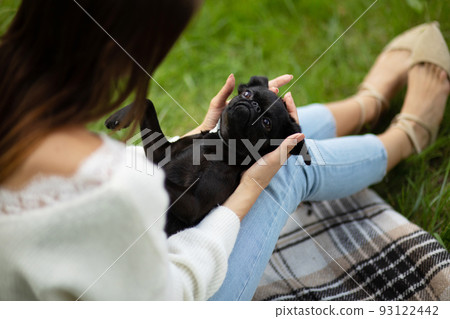 Funny black cute pet pug-dog of breed 'Petit Brabancon Brussels Griffon' lays on legs of brunette in green park. Friendly social companion. Summertime. Horizontal plane. 93122442