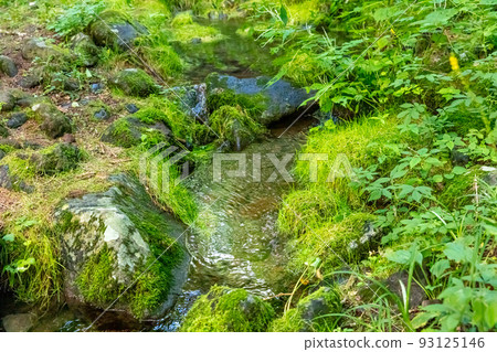 明托里春天 明托里春天 93125146