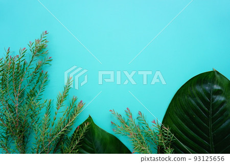 green leaf on a simple surface 93125656