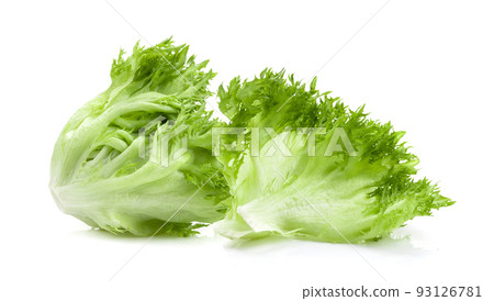 Frillies iceberg lettuce on white Frillies iceberg lettuce on white 93126781