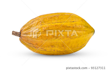 Fresh cocoa isolated on white 93127311