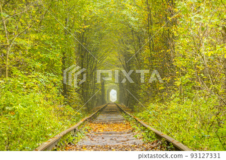 Summer Ukrainian Klevan Park and Tunnel of Love 93127331