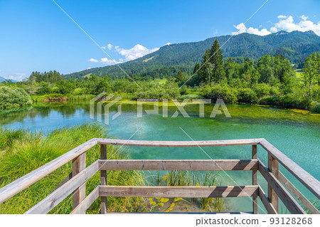Zelenci - emerald-green lake in the mountains Zelenci - emerald-green lake in the mountains 93128268