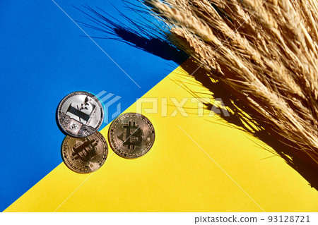 Heap ripe wheat and digital currency on yellow and blue background, Ukraine flag, top view Heap ripe wheat and digital currency on yellow and blue background, Ukraine flag, top view 93128721