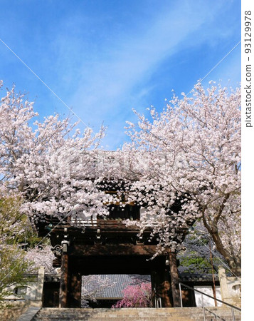 廣島縣竹原市正蓮寺鐘樓門 廣島縣竹原市正蓮寺鐘樓門 93129978
