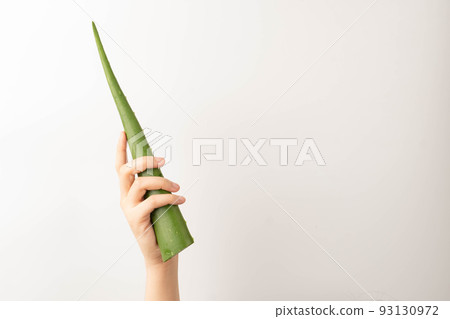 Hands holding fresh aloe vera leaf over green background. Gel from the leaves of aloe plants used for medicine and skin care. Hands holding fresh aloe vera leaf over green background. Gel from the leaves of aloe plants used for medicine and skin care. 93130972