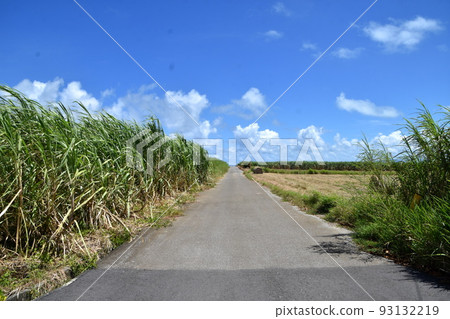 Kohamajima Sugar Road 93132219