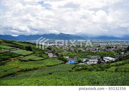 Landscape with mountains and clouds overlooking vineyards from above Landscape with mountains and clouds overlooking vineyards from above 93132356