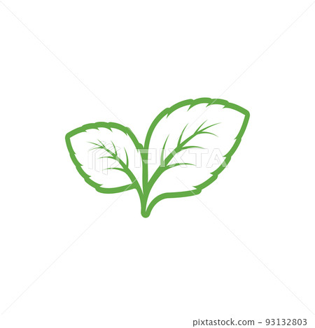 mint leaves linear icon. Leaf vector illustration - Stock Illustration ...