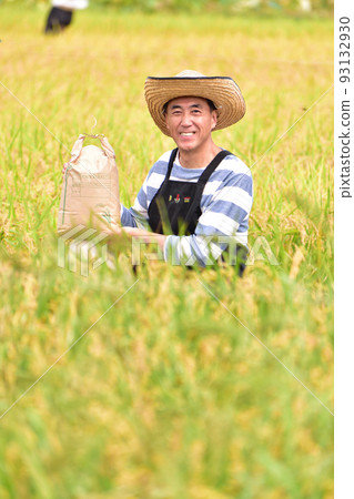 Ear of rice Harvest Harvest Rice bag Rural senior man 93132930