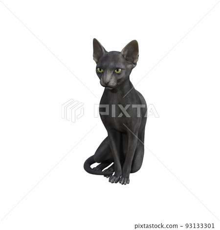 Sphynx cat isolated on white background. 3d rendering-illustration. 93133301