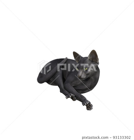 Sphynx cat isolated on white background. 3d rendering-illustration. 93133302