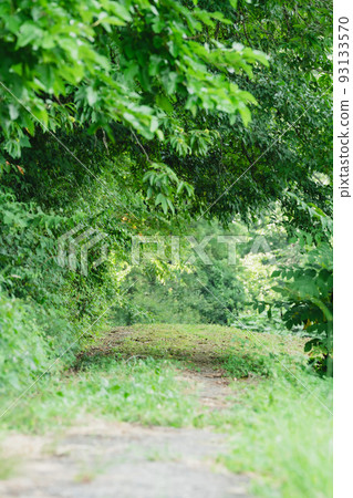 去山的路 去山的路 93133570