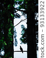 1 crow 1 crow 93133922