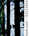 two crows two crows 93133924