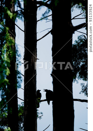 two crows two crows 93133924