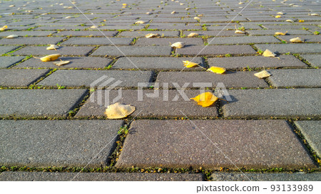 Autumn background of gray brick road with sprouted grass between it and yellow autumn leaves. Low viewing angle with prospect of removal 93133989