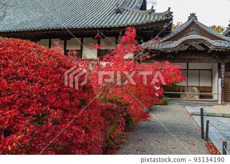 與畫家雪州有關的禪宗寺院#Hofukuji #Iyama Hofukuji #Hojo 93134190