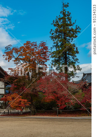 #Hofukuji #Iyama Hofukuji禪宗與畫家雪州有關 #Hofukuji #Iyama Hofukuji禪宗與畫家雪州有關 93134333