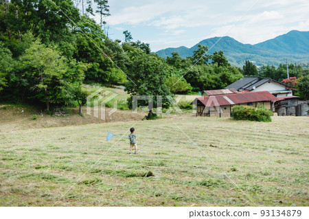 Boy catching insects in Satoyama 93134879