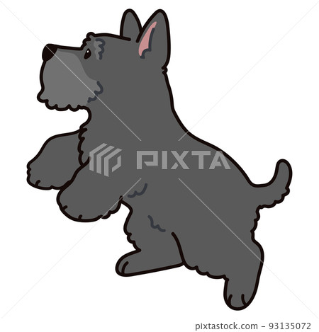 用主線跳躍的簡單可愛的蘇格蘭梗的插圖 93135072