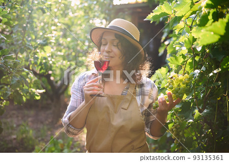 Multi-ethnic dark-haired pretty woman viticulturist, vintner wearing a straw hat and beige apron, tasting red wine, made from organic grapes, cultivated in vineyards at eco farm 93135361
