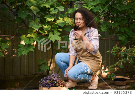 Beautiful dark-haired multiethic woman wearing a beige apron, viticulturist tasting homemade red wine, sitting near vine and wooden crate of harvested organic grapes in countryside. Agricultural hobby 93135378