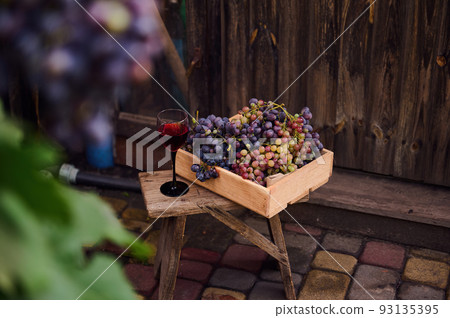Close-up wooden crate with harvested grapes and glass of homemade red wine on backless stool on wood background. Vine with ripening grapes in blurred foreground. Still life. Viticulture. Harvest time 93135395