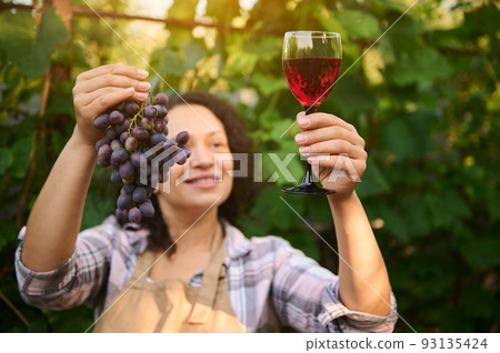 Focus on a glass of wine with homemade dry red wine, shining on the rays of the sun and and bunch of ripe and juicy organic grapes in the hands of blurred woman vine grower, winemaker in the vineyards Focus on a glass of wine with homemade dry red wine, shining on the rays of the sun and and bunch of ripe and juicy organic grapes in the hands of blurred woman vine grower, winemaker in the vineyards 93135424