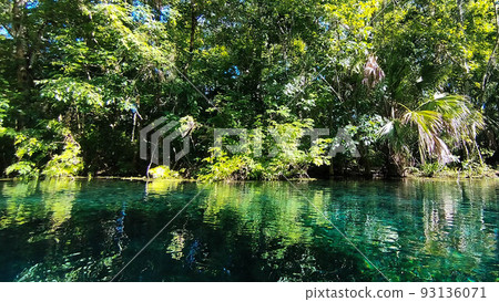 Silver Spring State Park, Florida, USA, Silver Spring River Silver Spring State Park, Florida, USA, Silver Spring River 93136071