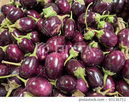 小圓形印度茄子 93136751