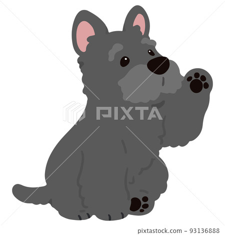 Illustration of a simple and cute Scottish Terrier waving No main line Illustration of a simple and cute Scottish Terrier waving No main line 93136888