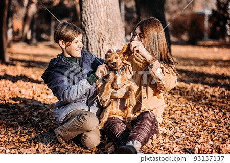 Happy family mother and teen boy son having fun with cocker spaniel puppy in autumn park 93137137