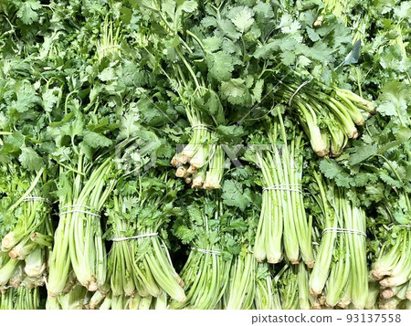 Coriander Coriander 93137558