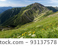 Southern Alps Flower garden of Mt. Arakawa-mae and Mt. Akaishi 93137578