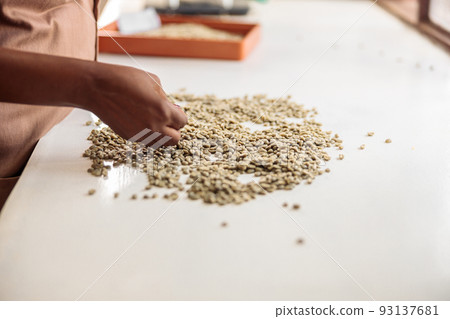 African American woman sifting and sorting coffee beans for tasting 93137681