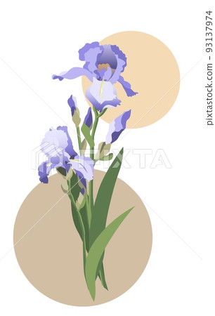 Vector illustration of blue iris flowers bouquet with leaves and stems. Isolated on white background Vector illustration of blue iris flowers bouquet with leaves and stems. Isolated on white background 93137974