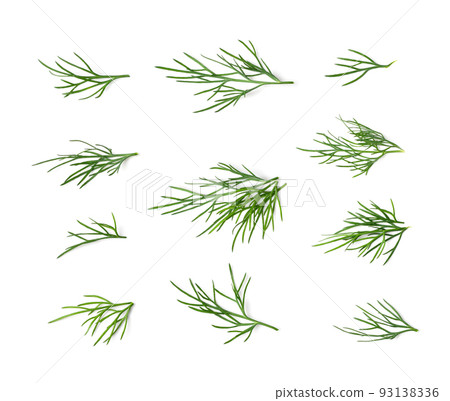 Dill Sprigs Isolated Dill Sprigs Isolated 93138336
