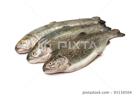 Raw Trout Isolated Raw Trout Isolated 93138504
