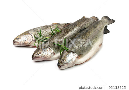 Raw Trout Isolated 93138525