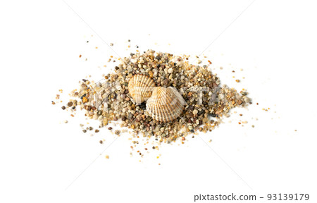 Seashells in Sand Pile Isolated 93139179
