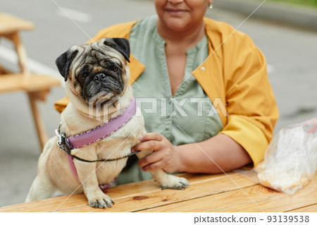 Cute Pug Dog at Outdoor Table Cute Pug Dog at Outdoor Table 93139538