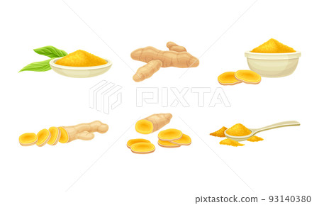 Turmeric or Curcuma Longa Rhizomes Cut Into Slices and in Powder Vector Set Turmeric or Curcuma Longa Rhizomes Cut Into Slices and in Powder Vector Set 93140380