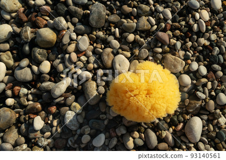 Natural sponge outdoor 93140561