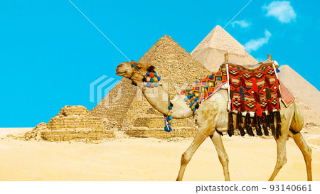 Camel in front of the pyramids Giza, Egypt Camel in front of the pyramids Giza, Egypt 93140661