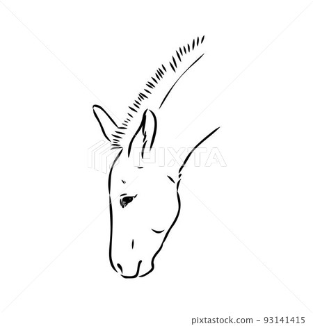 Sketch of donkey Hand drawn illustration donkey vector 93141415